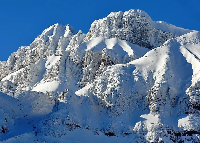 Edelweiss Candanchú
